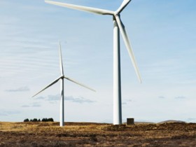 Weatherwatch: Wind turbines impact on balance and distribution of species