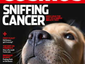 Sniffing Cancer: dogs lead the way to a simple breath test