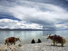 Terrawatch: Tibetan plateau shifting and stretching over time