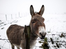 Weatherwatch: If it’s snow you want – head for the heights