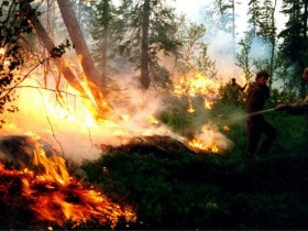 Lightning-sparked forest fires set to increase in North America